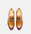 Brown leather shoes